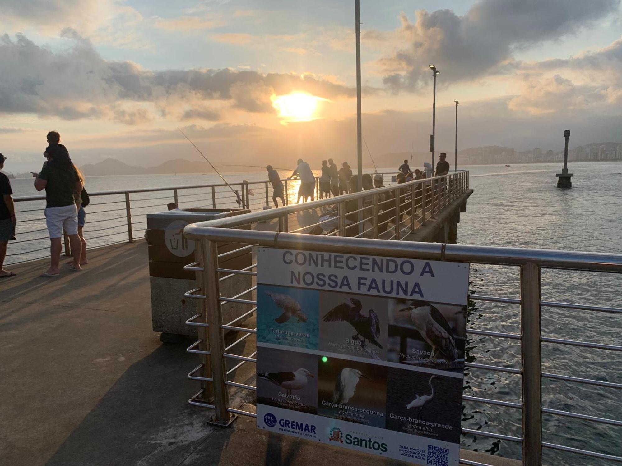 Apartamento Em Santos Na Ponta Da *